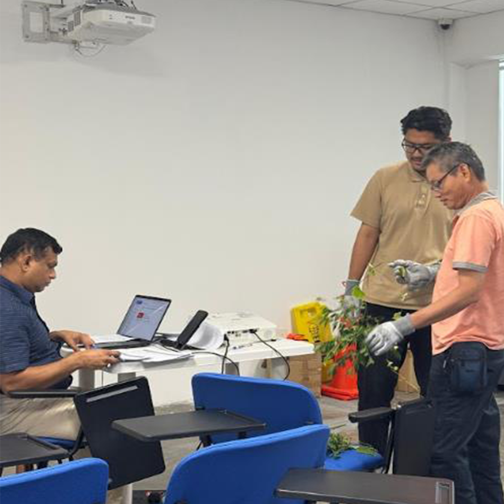 Practical Assessment